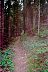 AA003A.JPG