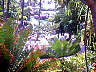 0110220079.jpg