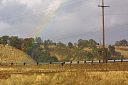 2161641IMG.JPG